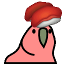 sushiparrotq