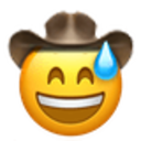 sweat_smile_cowboy