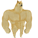 swole_doge