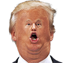 tinyfacetrump