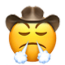 triumphant_cowboy