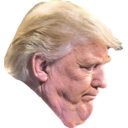 trump_chin