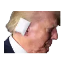 trump_ear_bandage