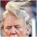 trump-hair