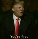 trump_youre_firedq