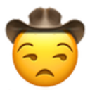 unamused_cowboy