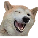 winkdogeq