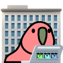 working_from_office_parrot