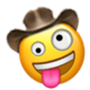 zany_cowboy